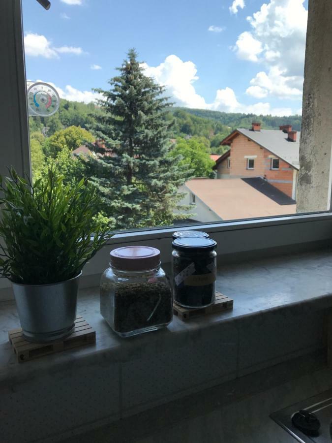 Apartament Przy Rynku Wisła Esterno foto